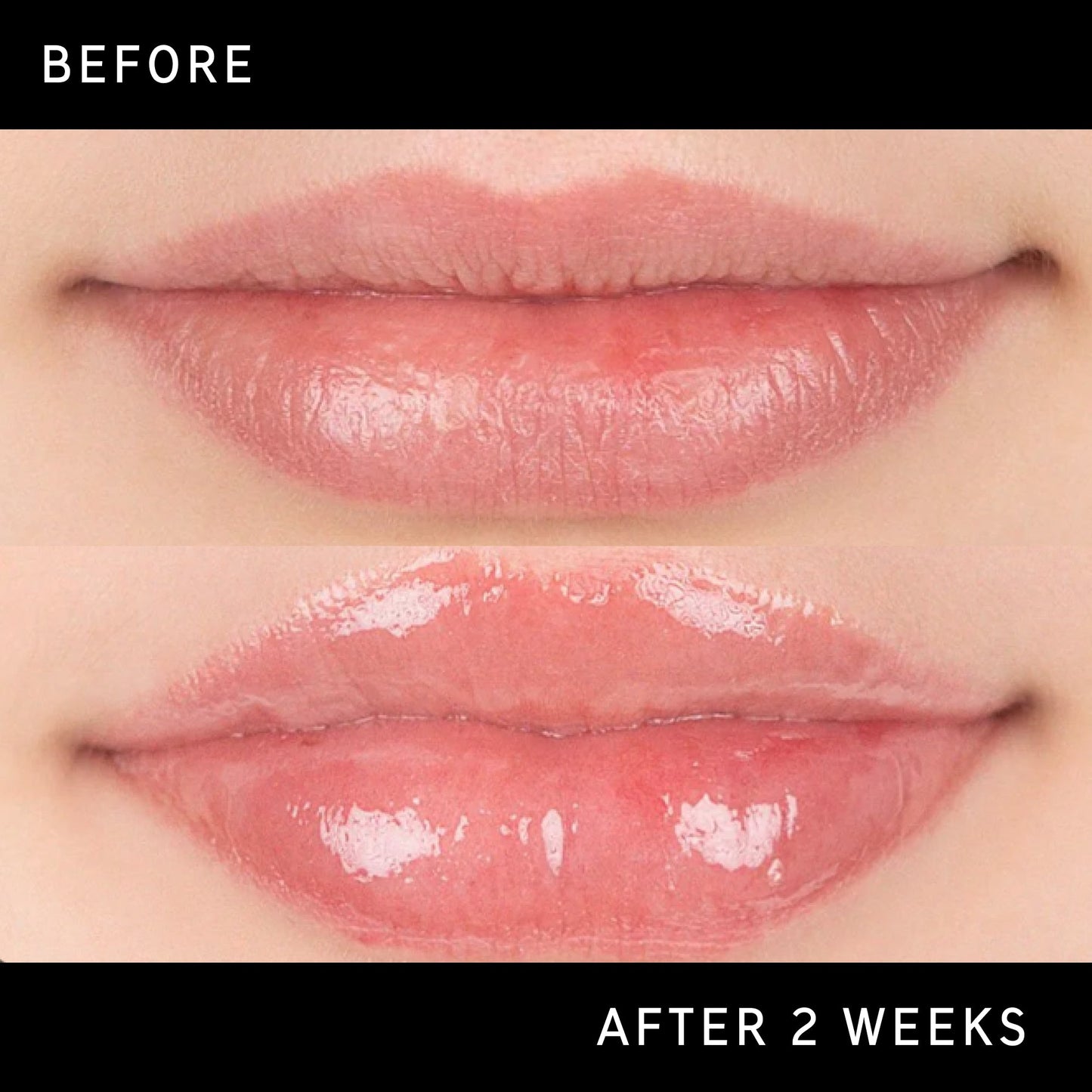 tripeptide-plumping-lip-balm-l4 DTC-Top15_Amends_Tripeptide-Lip_B_A.jpg