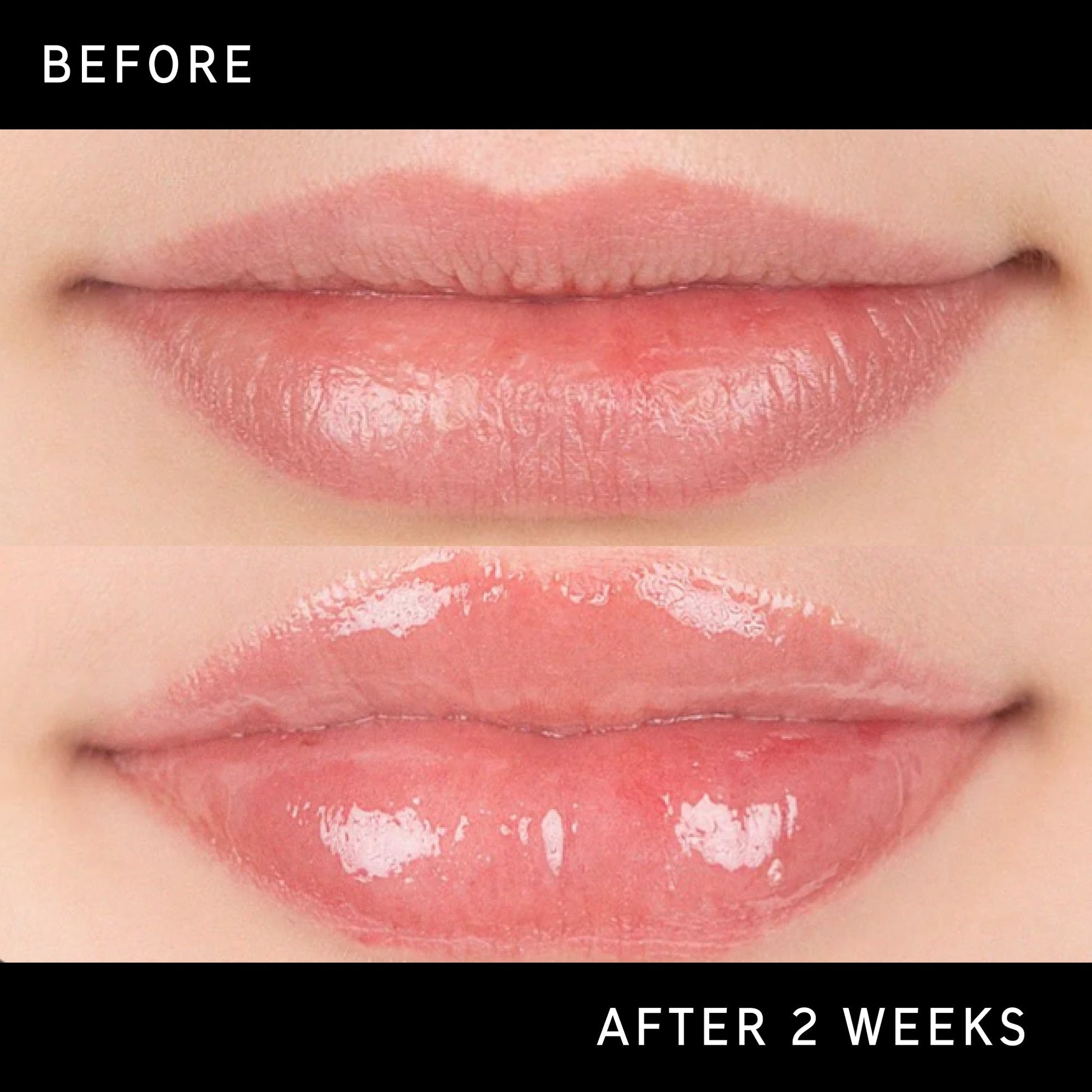tripeptide-plumping-lip-balm-l4 DTC-Top15_Amends_Tripeptide-Lip_B_A.jpg